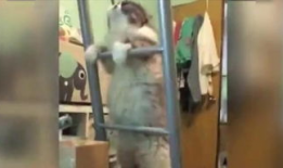 真人上床视频,一场视觉与道德的碰撞